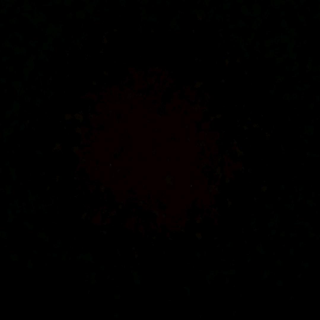 58