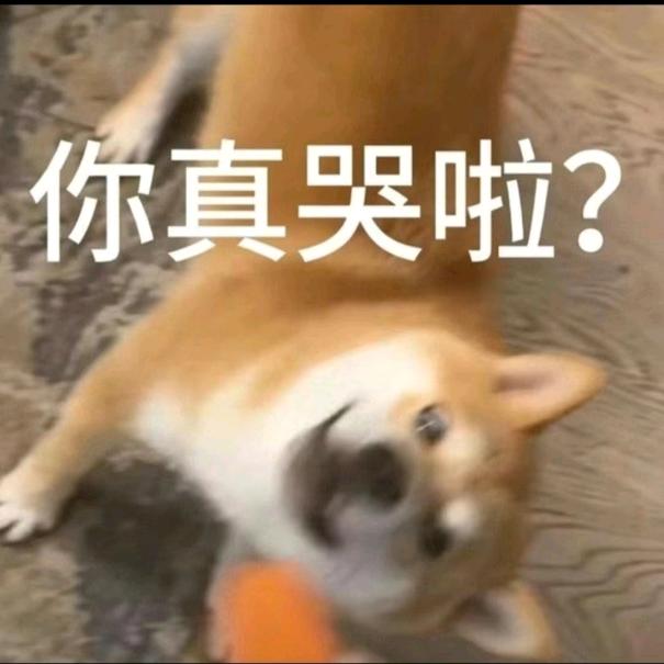Kiki 酱