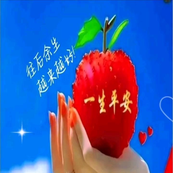 戴姐