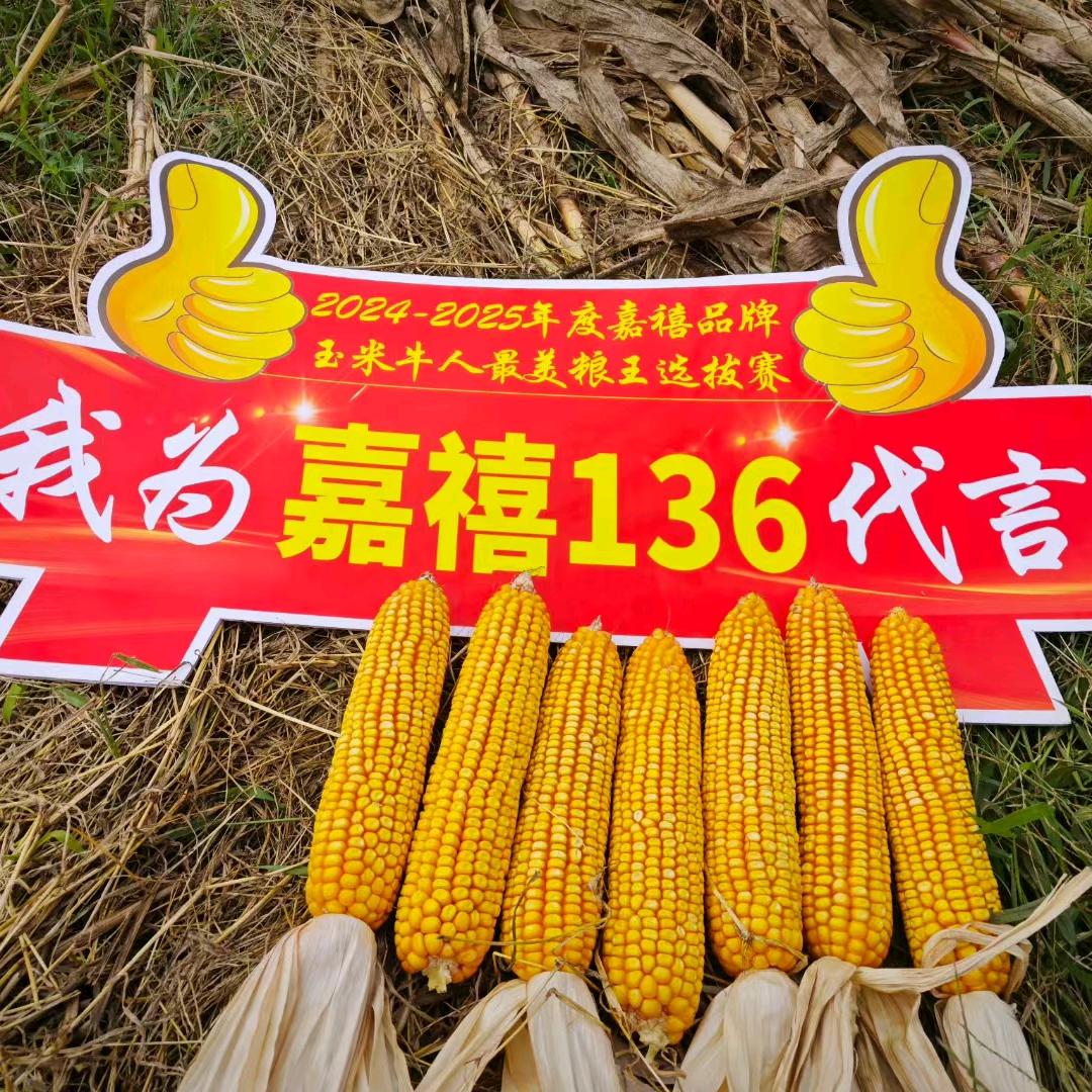 🌈农业助手