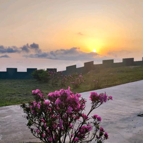 人诚则天下无敌