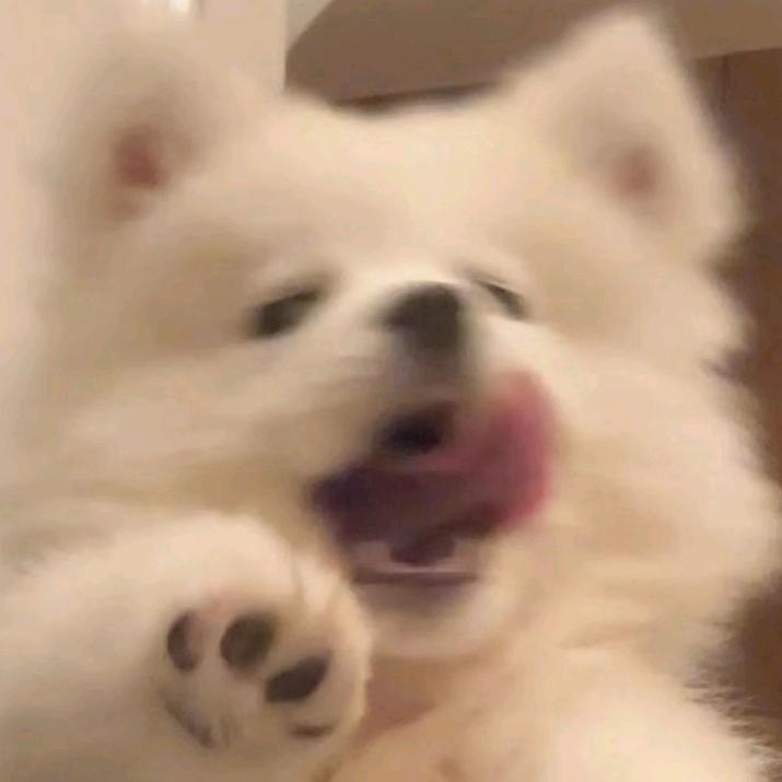 翻倍的番番