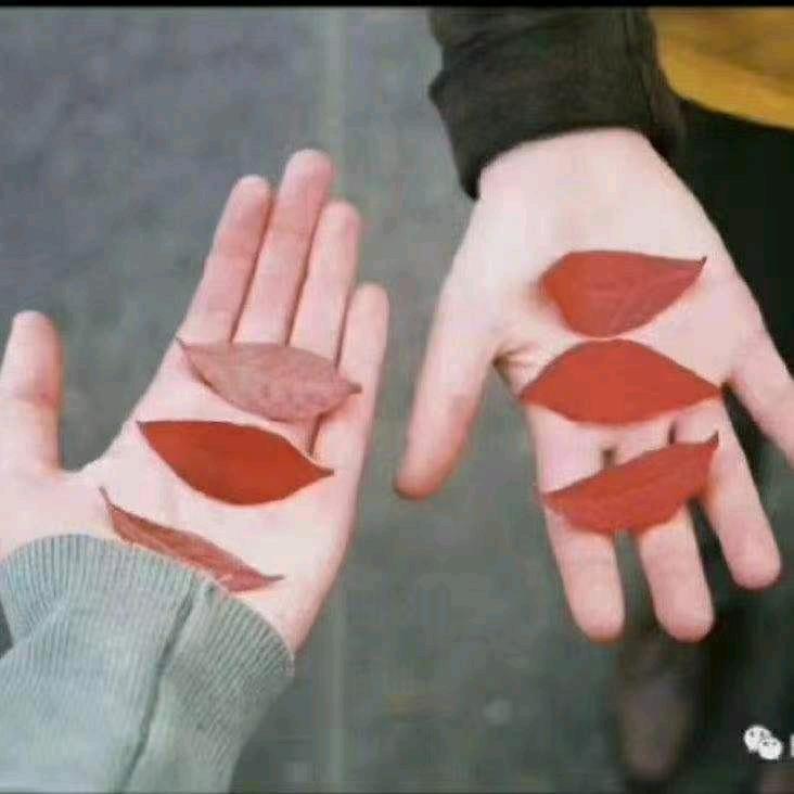 小麦(说生活小妙招)