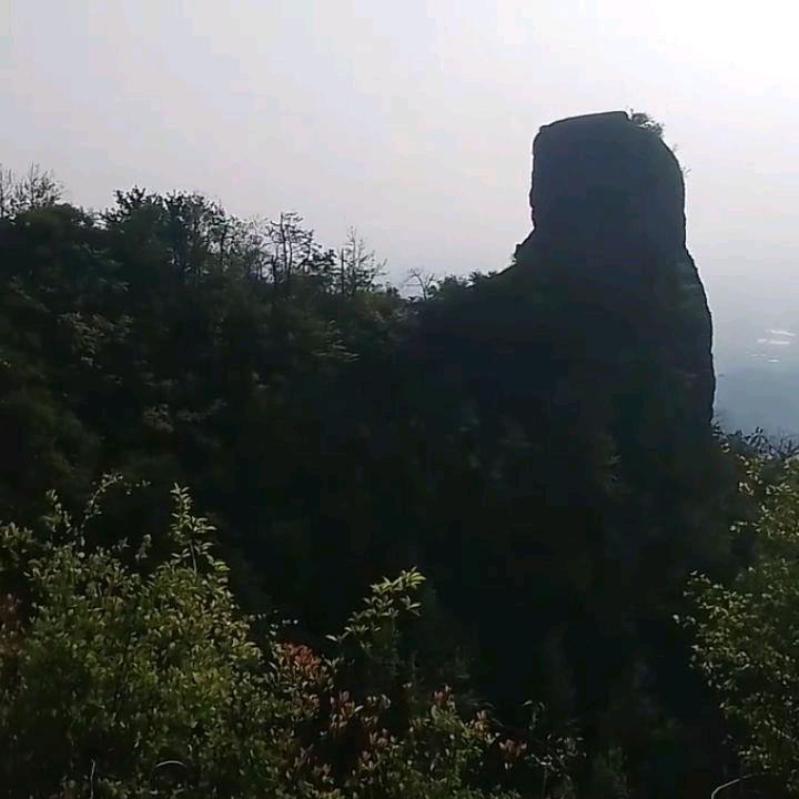 流浪的🐱