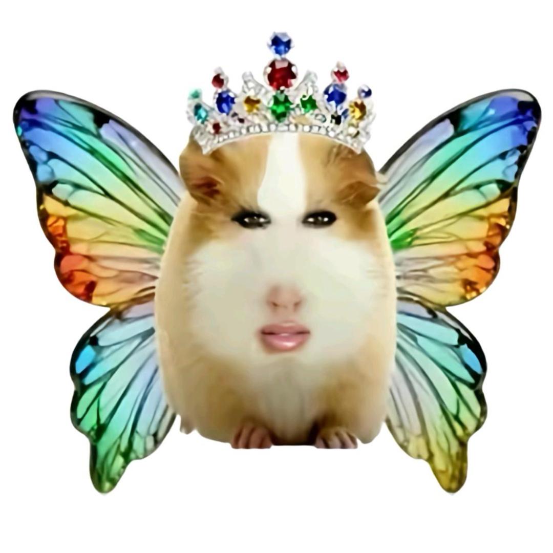 究极猪妞󰠇󰎳