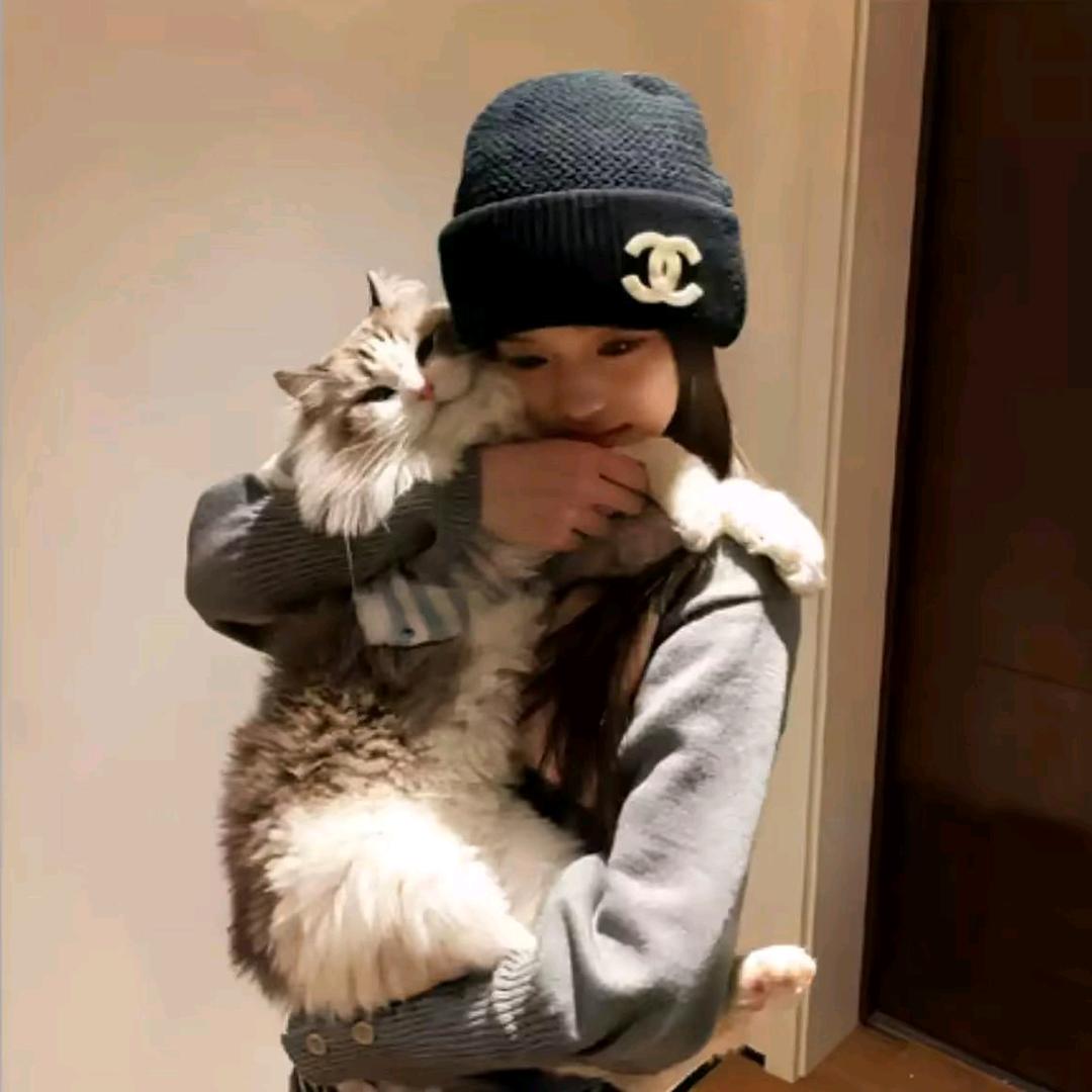 梧梧~