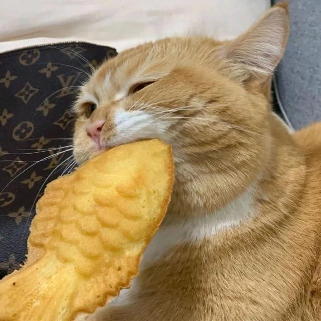 笨蛋小呆