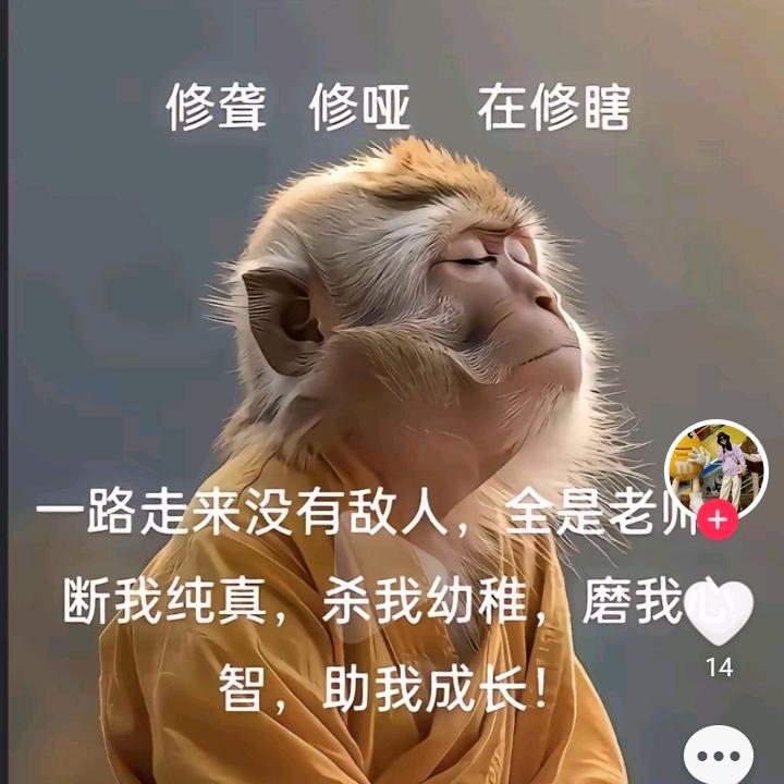 求出无期贱人——