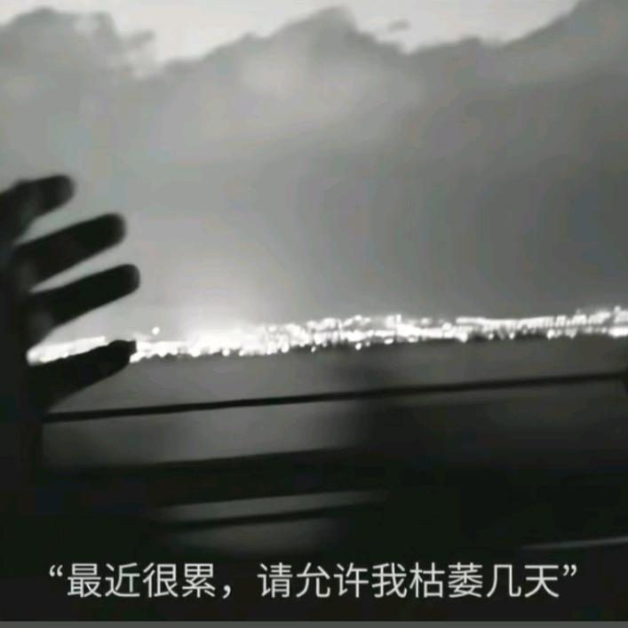困兽