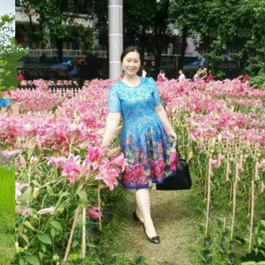 夏天🌺