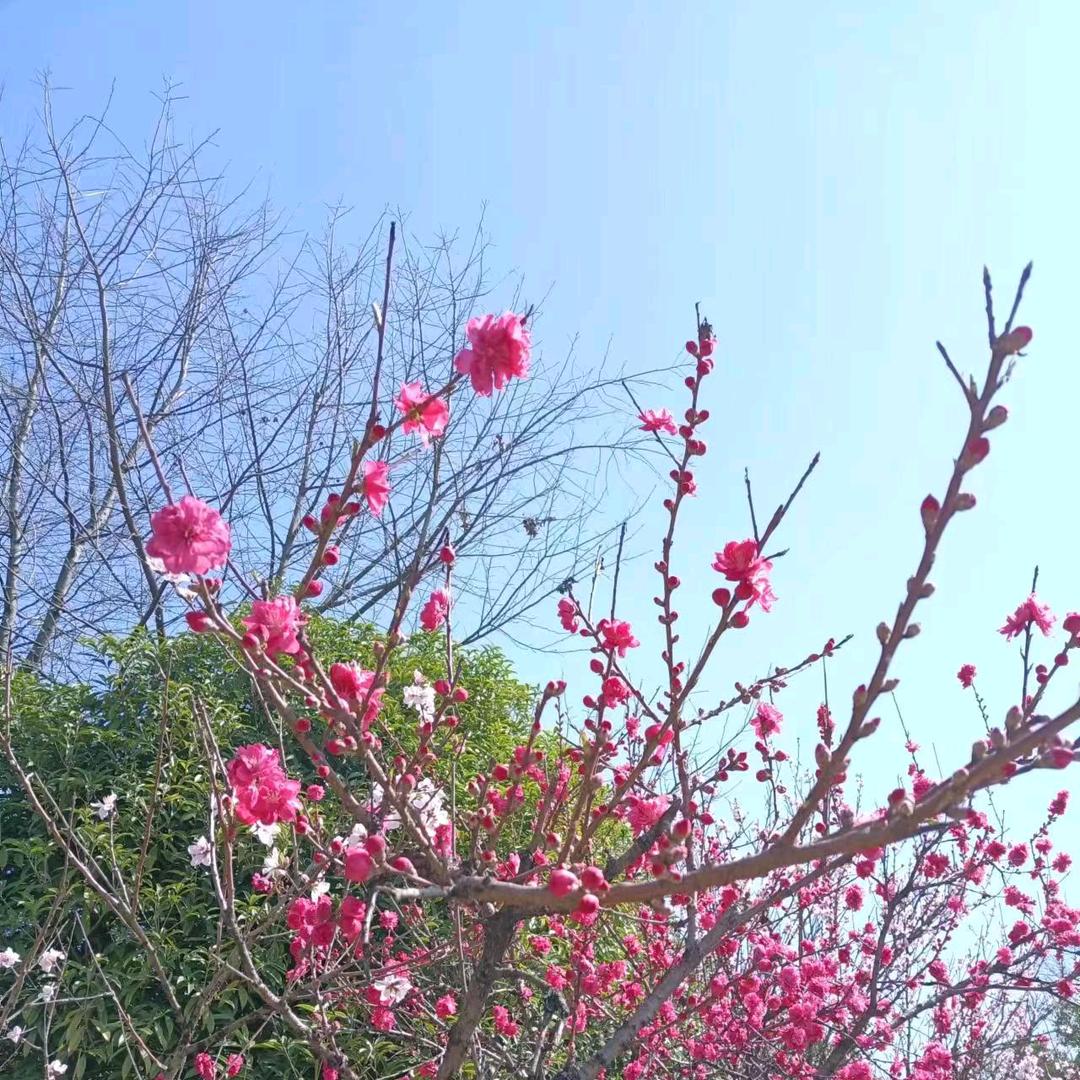 临湘市战云台球俱乐部