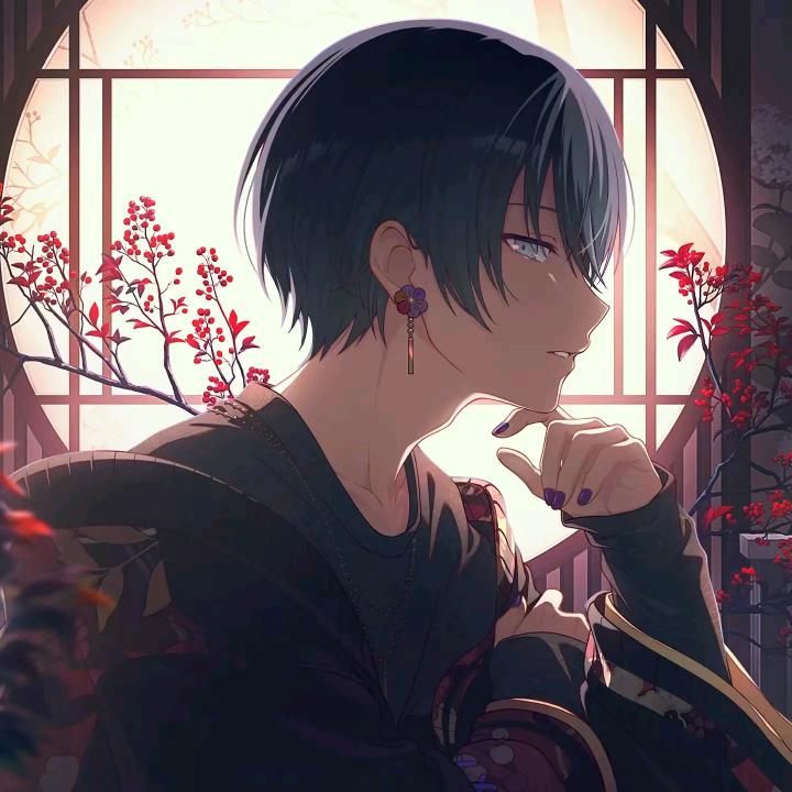 双色冰淇淋球Toya