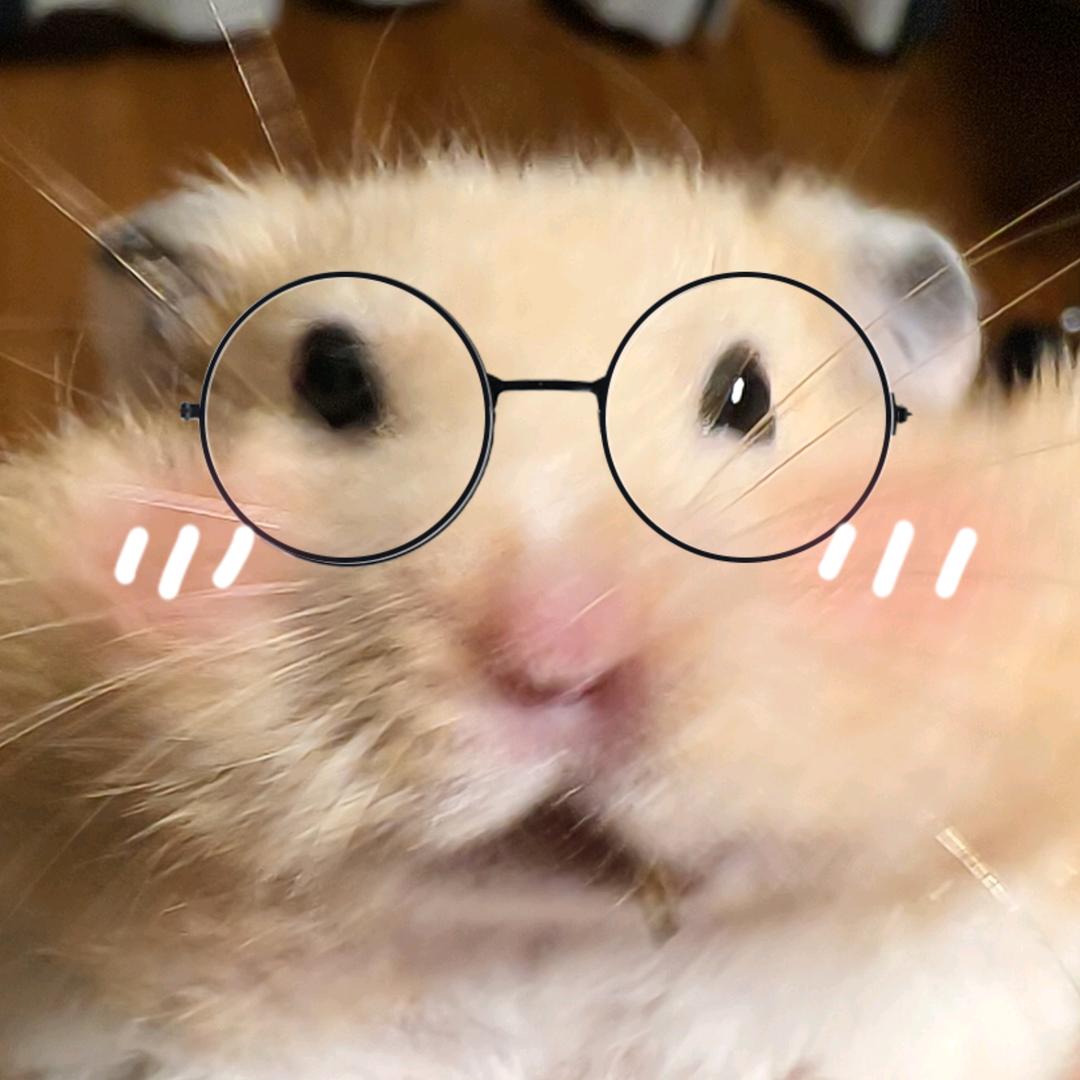 仓鼠王🐹