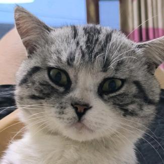 (修罗门管理部）