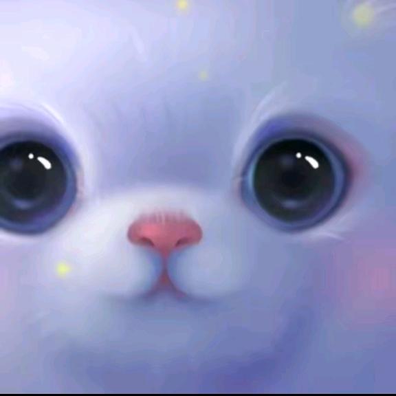 臭小子