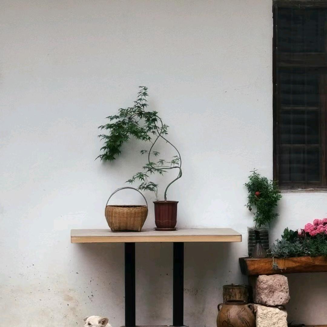 百嘉旅行
