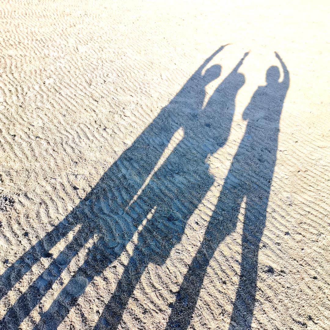 敏