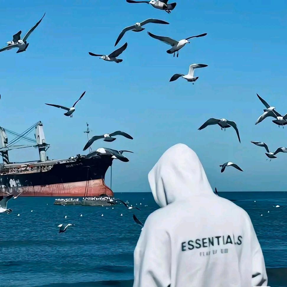 乘风破浪的吕行家(o^^o)