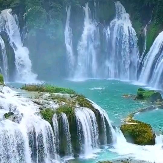 湖南省联储肥业陈梽平