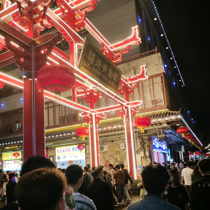🌈小树林