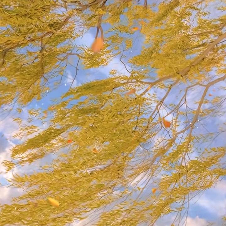 大艳子