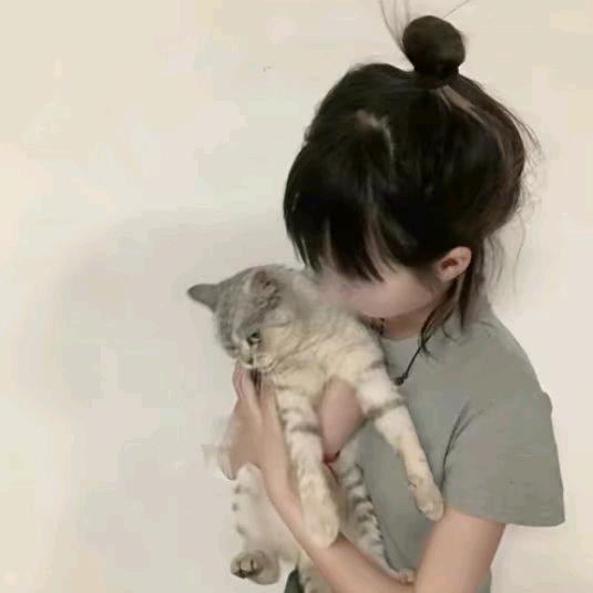 养只猫叫失约