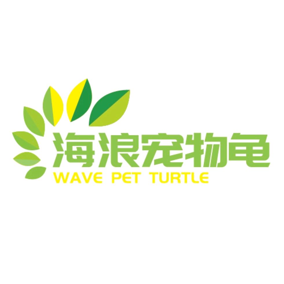 海浪变异草龟甄选
