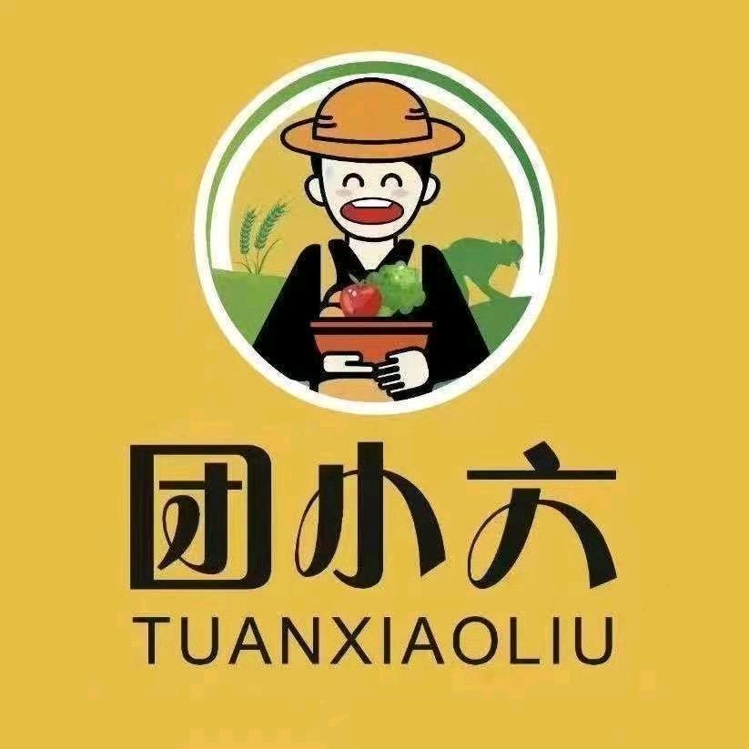 团小六官方号