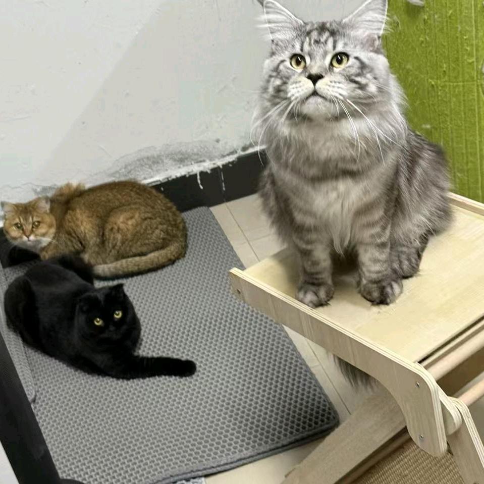 对方正在输入...