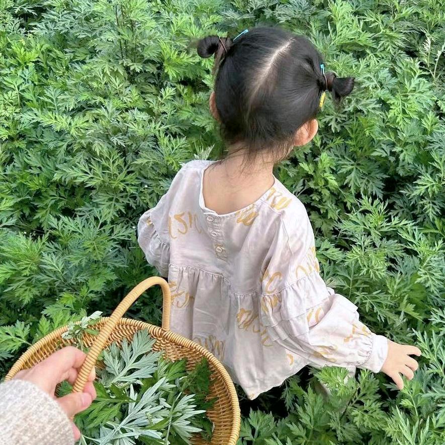 娟姐爱分享
