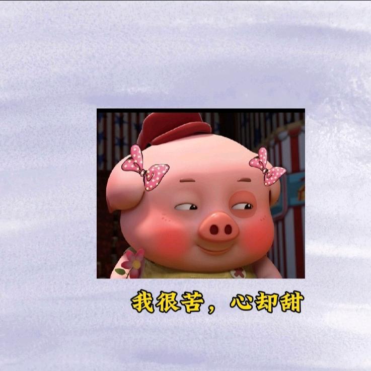 顺民的采访