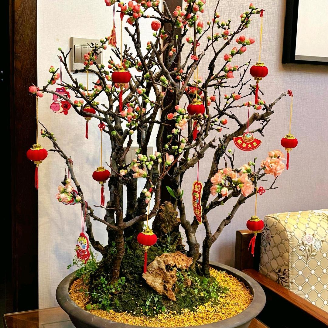 花神庙园艺