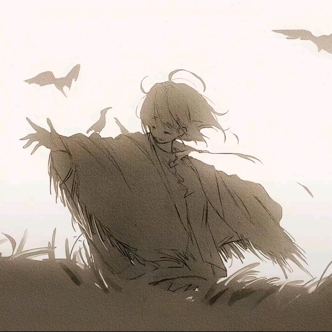 迟迟