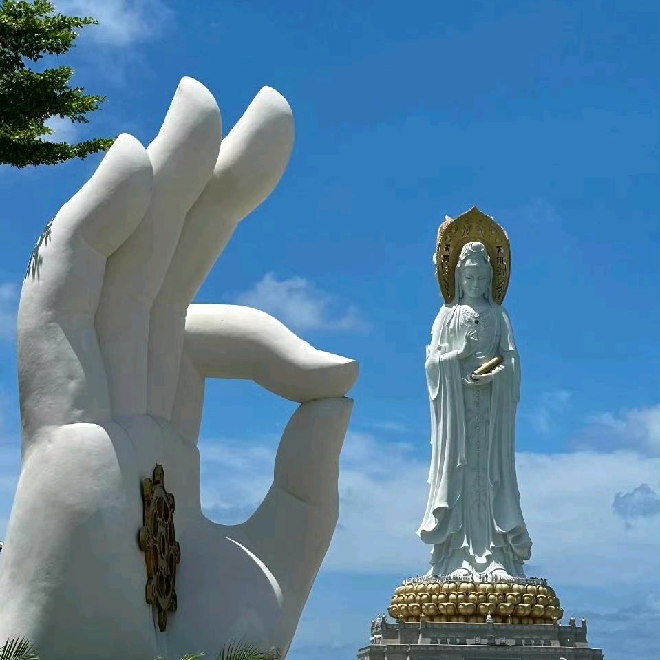 半碗白米饭！