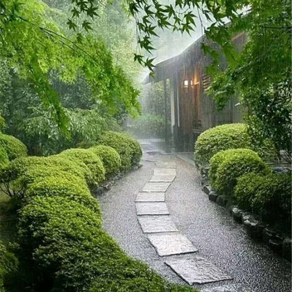 幸福家园2