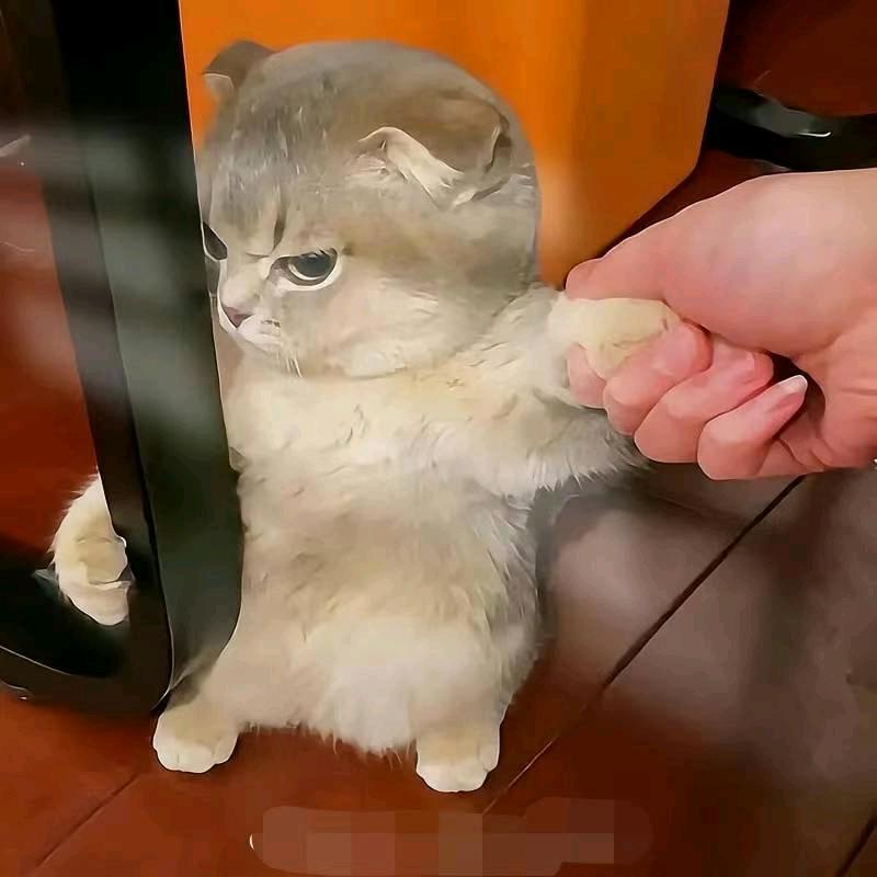 我不是未成年