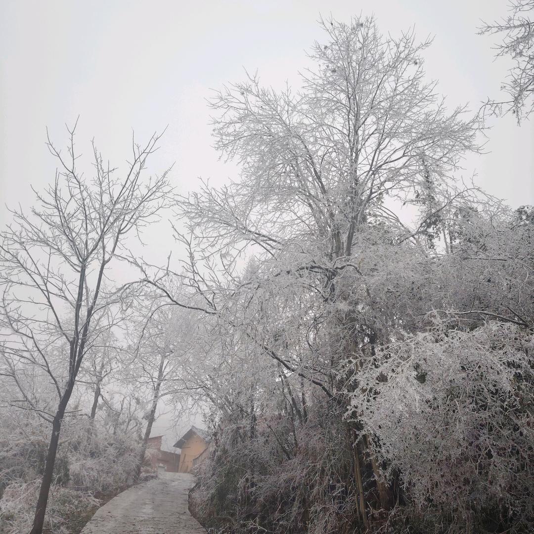 春时涧