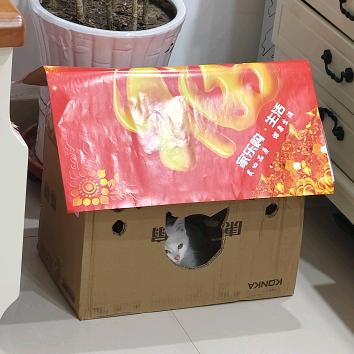 三百