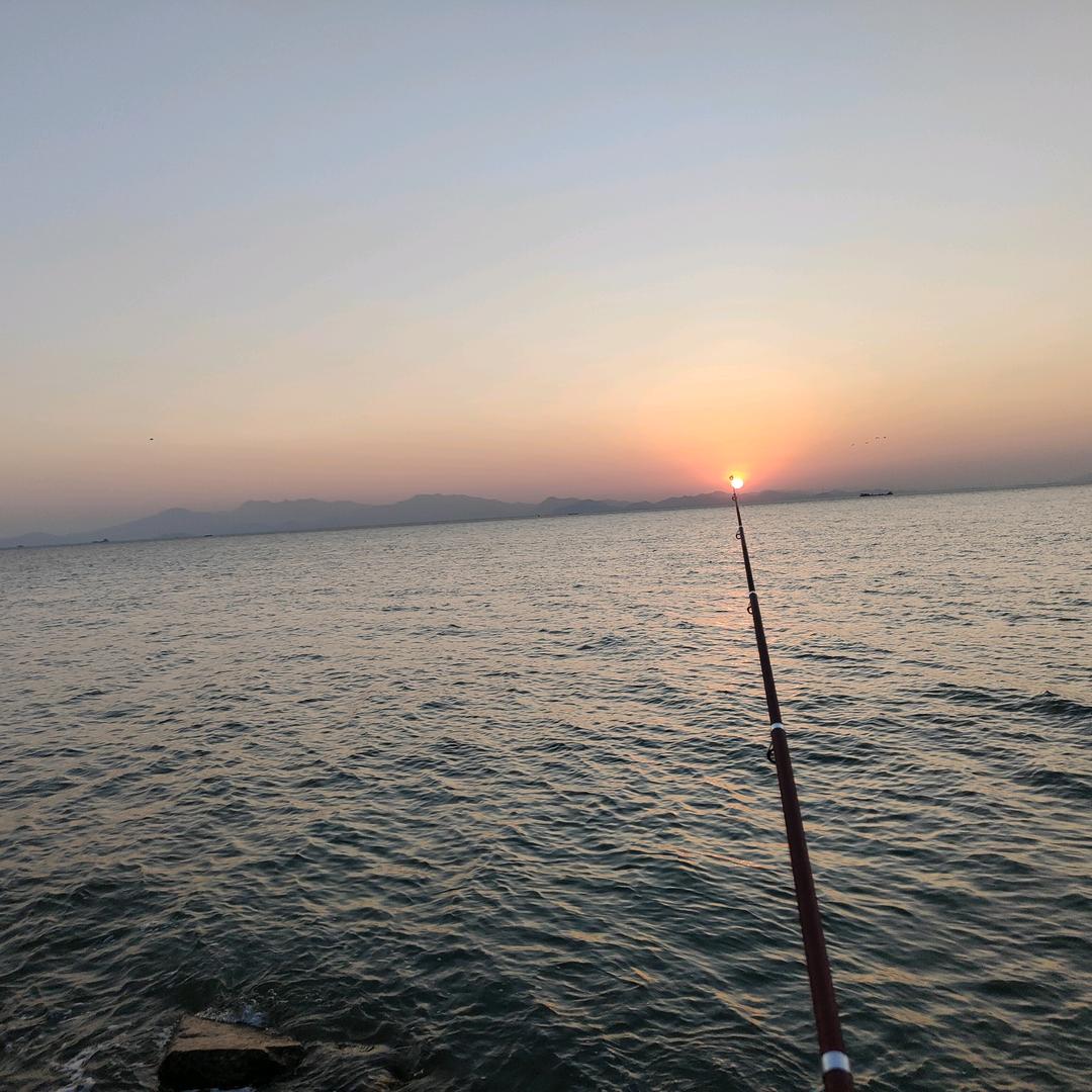 浮光掠影
