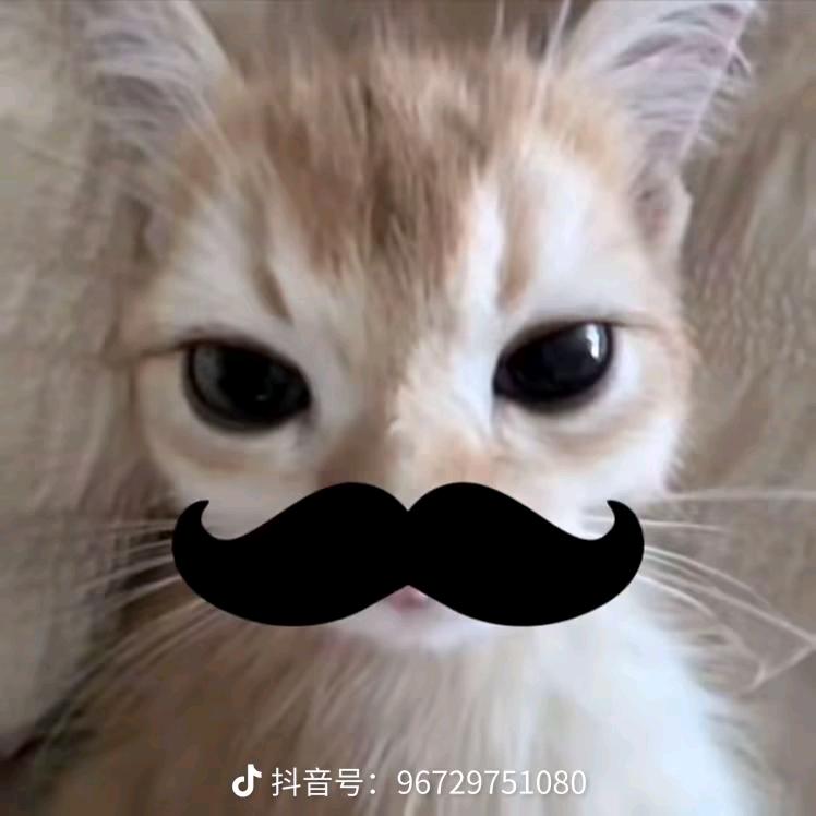 💌Ze💗是我的“唯一”💗