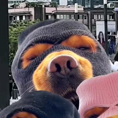 街拍热爱