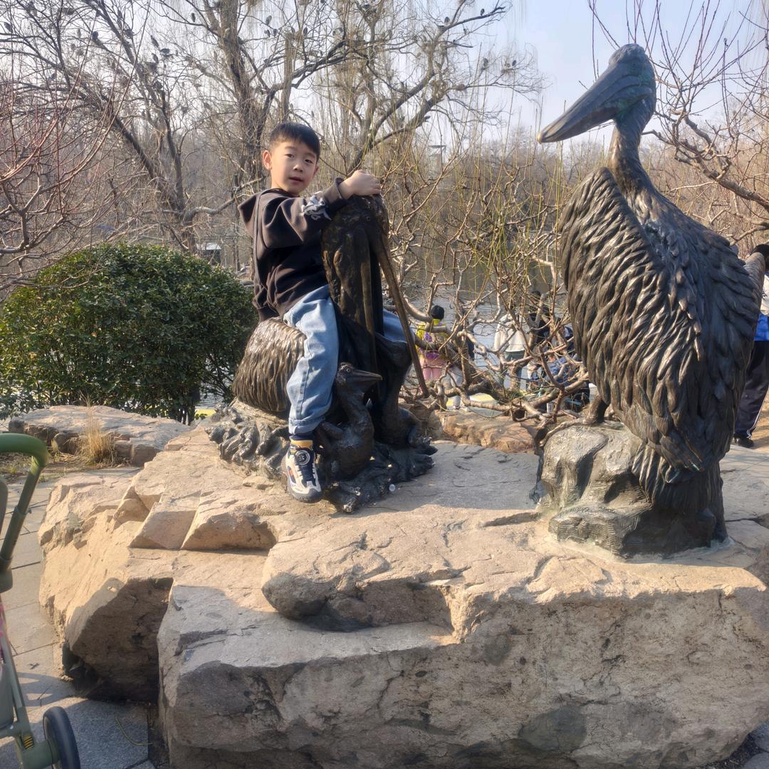 开心小乐宝