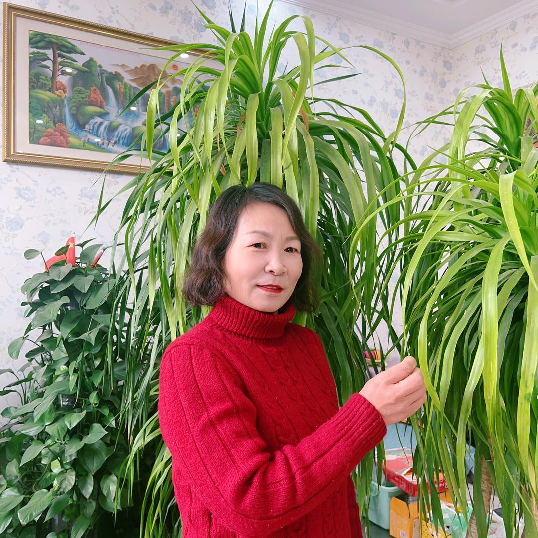 放下拥有
