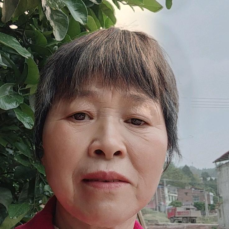 农村春姐