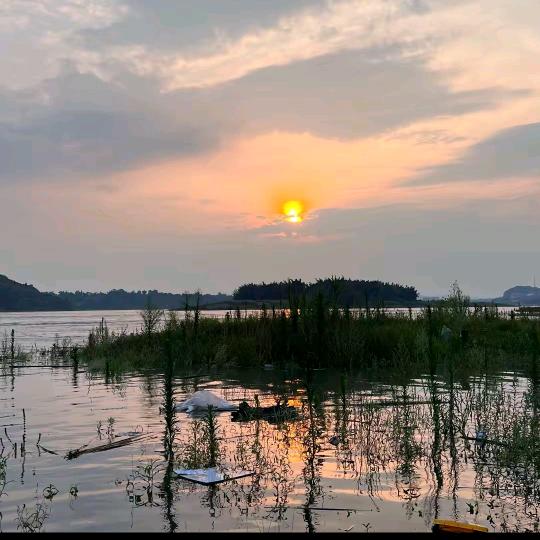 小飞在捉鱼