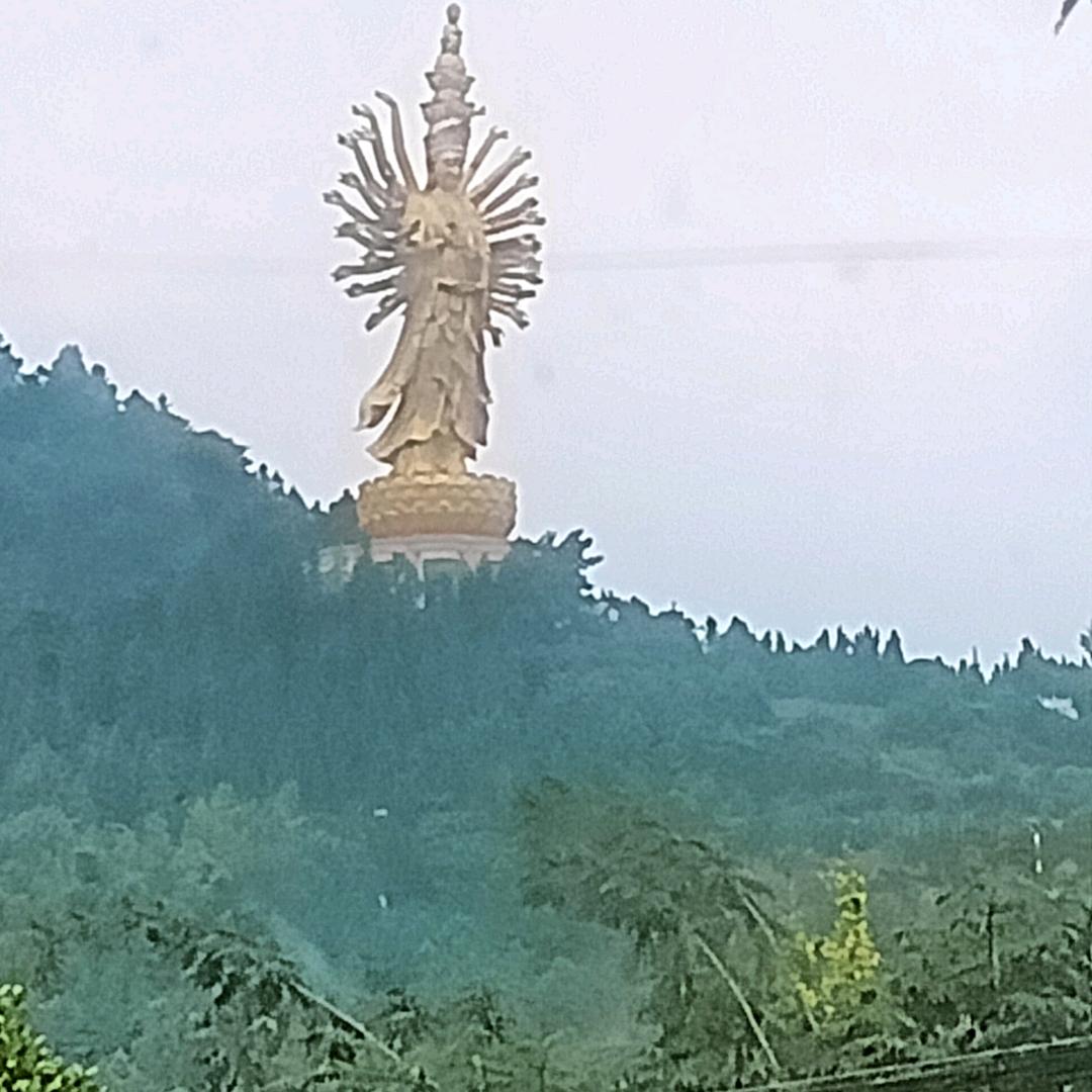 靖哥