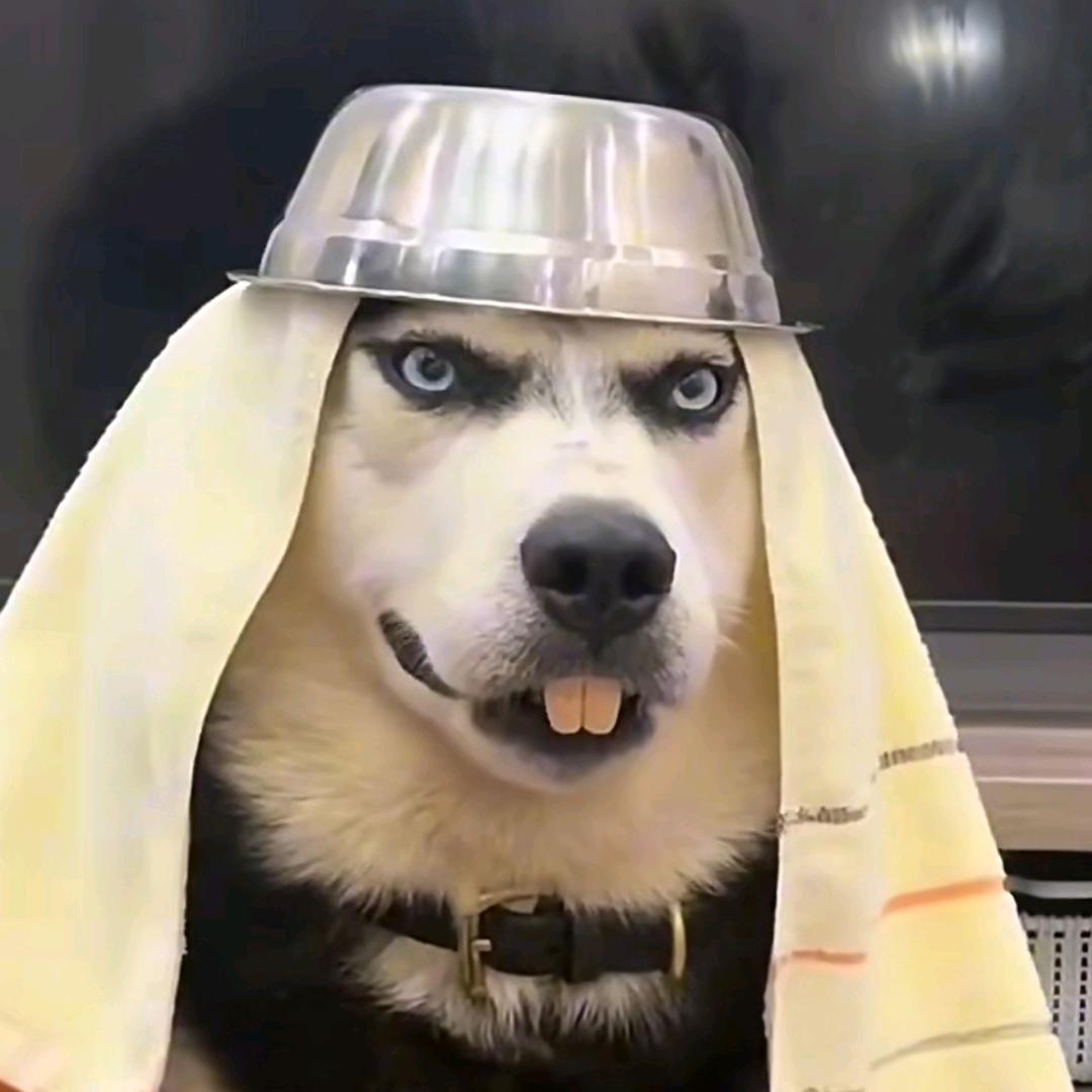 々Y