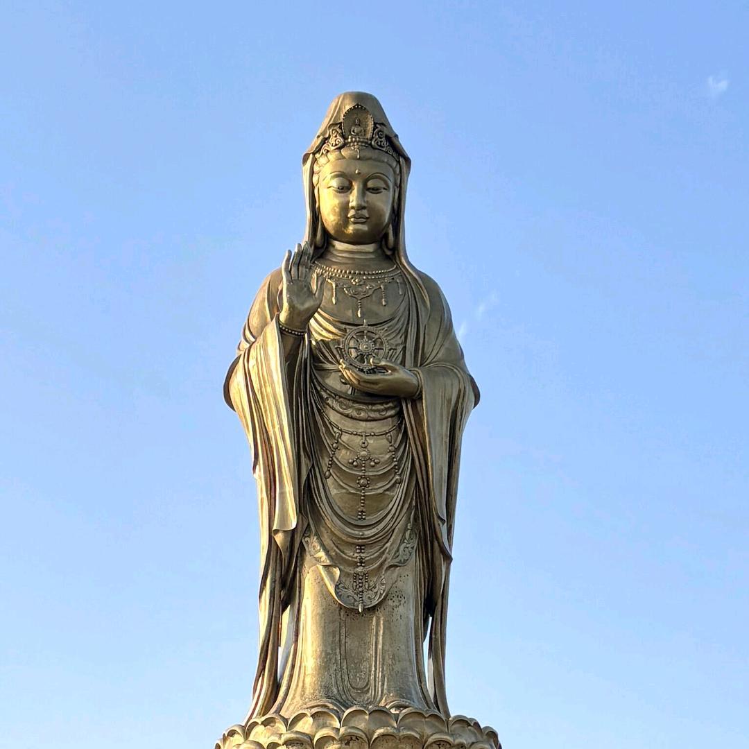 普陀山👦跑腿