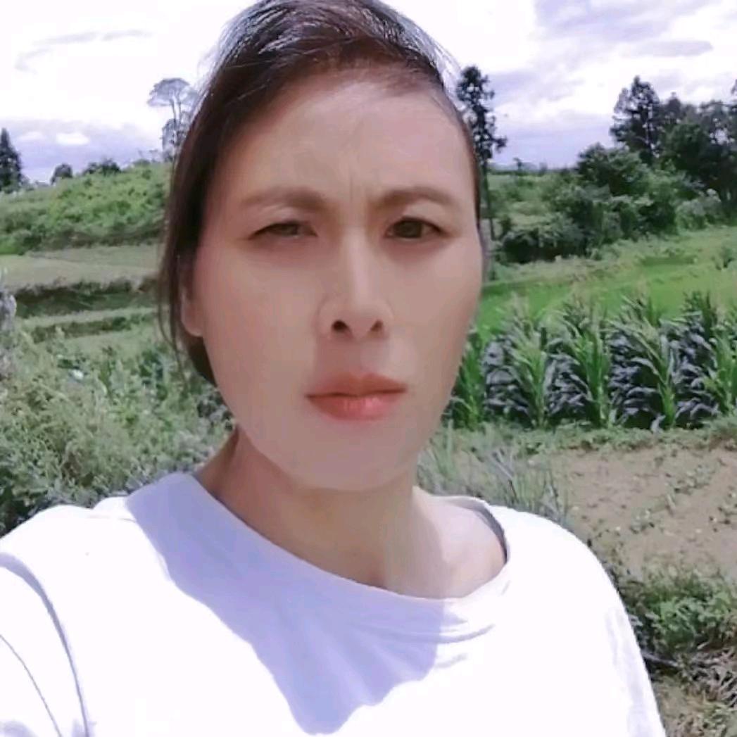 易飞姐