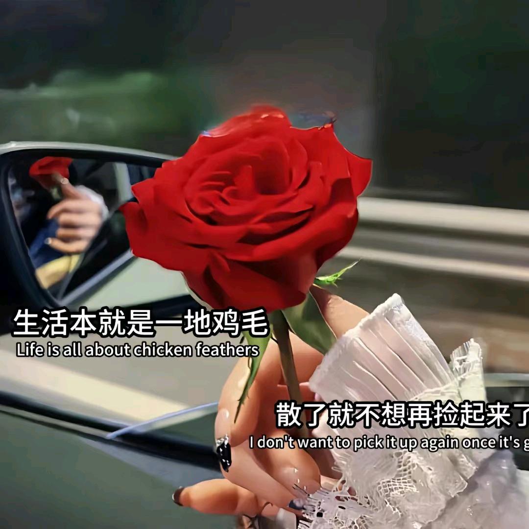 💞꧔ꦿ᭄ღ᭄